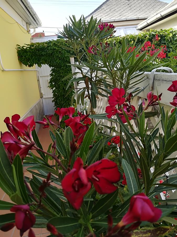 Castello Vendeg Es Apartmanhaz Eger Ngoại thất bức ảnh